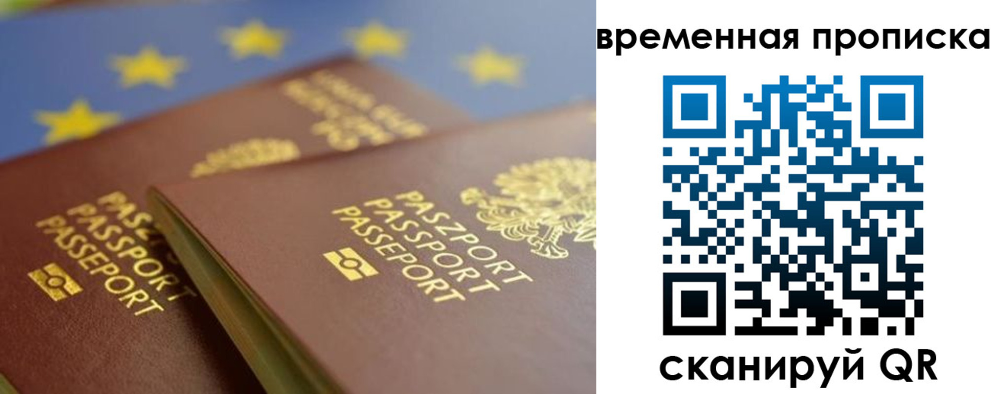 прописка законно в Вологде